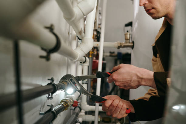 Best Local Plumber Services  in Trenton, MO