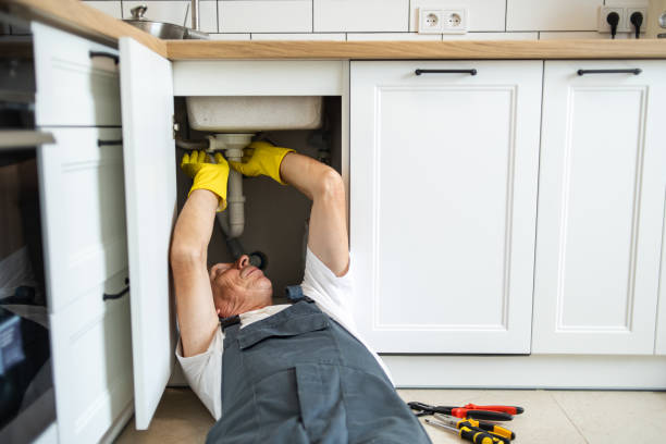 Best Drain Cleaning Services  in Trenton, MO